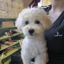 오좌동길 이미지