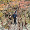 이재혁 카카오 검색결과