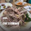 산닭 오리불놀이 | 의왕백숙 산닭 오리불놀이에서 보양식 먹은 후기