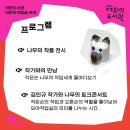 모야 이미지