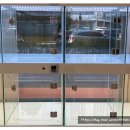 강아지꿈 | 댕댕이 가족을 꿈꾼다면? 안양강아지분양 고민 해결하고 온 후기!