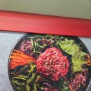 버들 소갈비살 전문점 | 행궁동맛집 숯불 고깃집 [미가담숯불소갈비살전문점] 후기