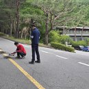 구내식당 쪽 삼거리 반대쪽차선(카트고 이동쪽)에서 좌회전 금지 식당앞주차장에서 카트고방향 좌회전 금지/전원필독!!댓글 이미지