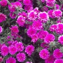 생활의 향기 이미지