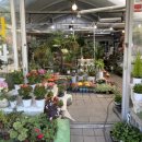 은하꽃집 이미지