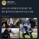 개털렸음? 넹.twt모음 이미지