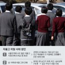 엘리트교육