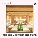 강북광고물협동조합 | 서울 강북구 반려견 데이트 코스! 분위기 좋은 애견동반 카페 5곳!