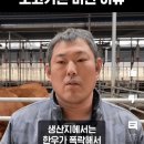 한우 값은 바닥을 치는데 소고기는 비싼 이유 . gif 이미지