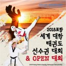독수리 태권도 이미지