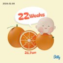 해피맘산부인과