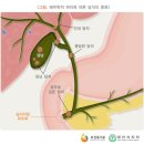 배재욱한의원 이미지