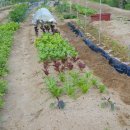 형국농장 이미지