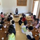 풀꽃유치원 이미지