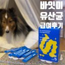 이너피스 | 바잇미 닥터이너피스 장튼튼유산균 추천 급여후기