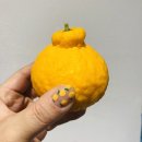 올레파머스