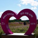 다소