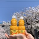 인태목장 네이버블로그