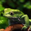 효자 정신비 이미지