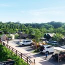 달강아지 이미지