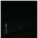 참견(犬) 네이버블로그