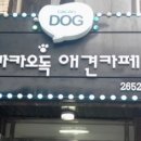개 편한 애견샵 이미지