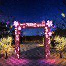강서구-22 이미지
