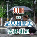 순천시치매안심센터 | 치매 vs 교모세포종 증상 비교