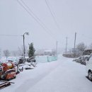 이례로-4 이미지