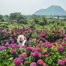 멍'블랑 이미지