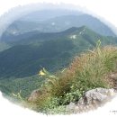 코리아둘레길 「서해랑길」(해남구간) | 코리아둘레길 서해랑길 지역별 구간거리