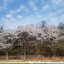 대흥법무사오태훈사무소