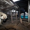 내지농장 이미지