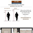 더채움 티스토리