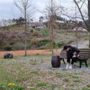 팔봉 갯벌체험장 화장실 이미지