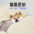 경덕초교 병설유치원 이미지