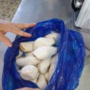 호동바닷가가든 이미지