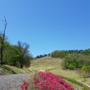 입점리고분전시관 이미지