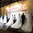 법무보호전진대회 및 합동결혼식이 KBS 뉴스에 보도 되었습니다. 이미지