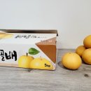 홍농원 | 배한박스 5kg 가정용 배 주문 후기