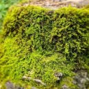 울산초등학교병설유치원 이미지