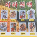 용초허브자라