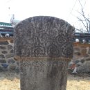 홍산객사 은행나무 이미지