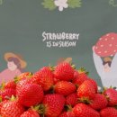 딸기밭 부농 이미지