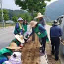 송학마을 이미지