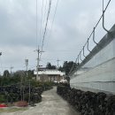 제주 서귀포 감성 숙소 독채펜션 / 감산차경