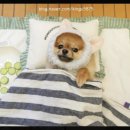 맘에든 유치원 이미지