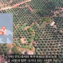 지탄농장 이미지