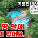 신재민박 네이버블로그