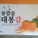 대봉감농장